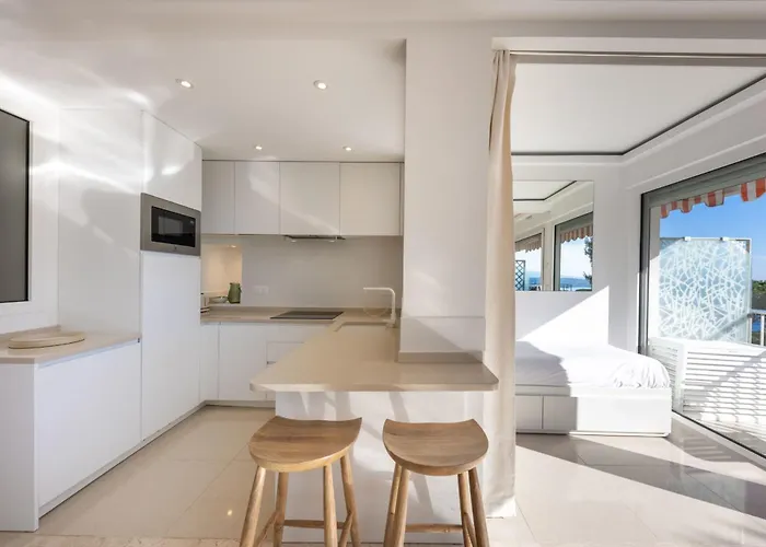06db Magnificent Flat With Incredible View Mont Boron Nice