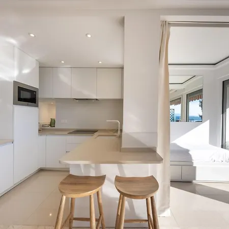 06db Magnificent Flat With Incredible View Mont Boron 尼斯