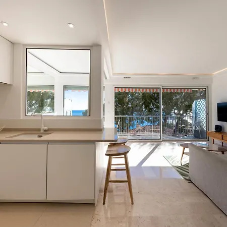 06db Magnificent Flat With Incredible View Mont Boron *