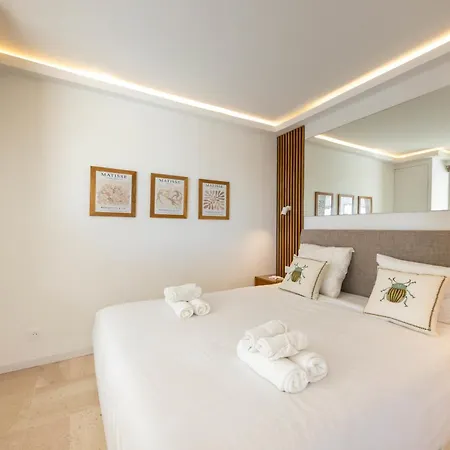 06db Magnificent Flat With Incredible View Mont Boron 尼斯